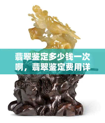 翡翠鉴定多少钱一次啊，翡翠鉴定费用详解：了解价格，避免被坑！