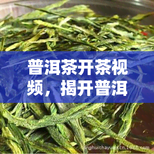 普洱茶开茶视频，揭开普洱茶的神秘面纱：开茶全过程视频解析