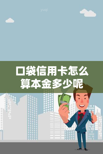 口袋信用卡怎么算本金多少呢，如何计算口袋信用卡的本金？