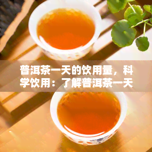 普洱茶一天的饮用量，科学饮用：了解普洱茶一天的饮用量