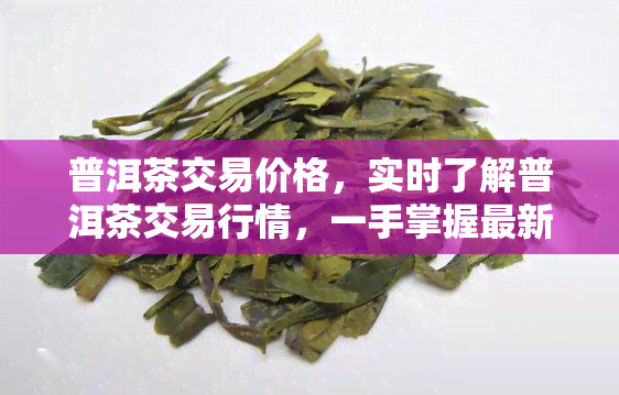 普洱茶交易价格，实时了解普洱茶交易行情，一手掌握最新价格！