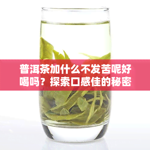 普洱茶加什么不发苦呢好喝吗？探索口感佳的秘密！