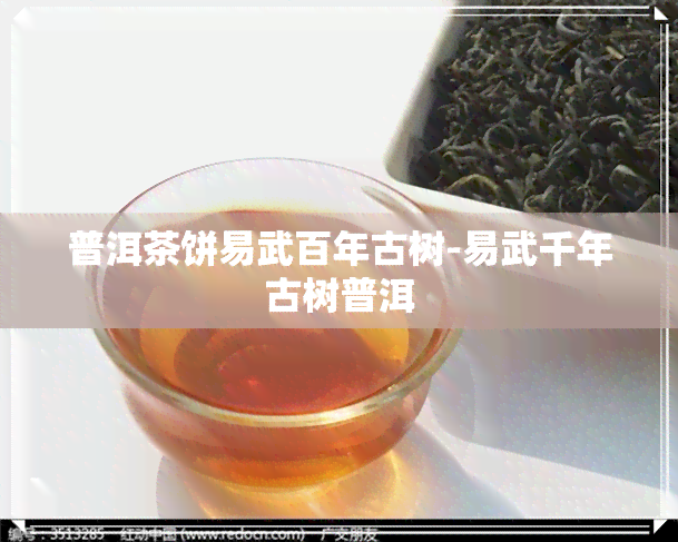 普洱茶饼易武百年古树-易武千年古树普洱