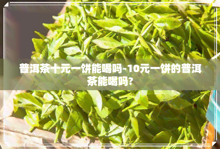 普洱茶十元一饼能喝吗-10元一饼的普洱茶能喝吗?