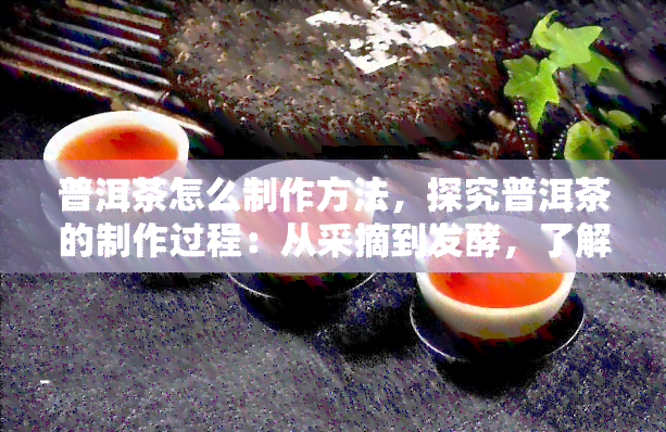 普洱茶怎么制作方法，探究普洱茶的制作过程：从采摘到发酵，了解每一环节的奥秘