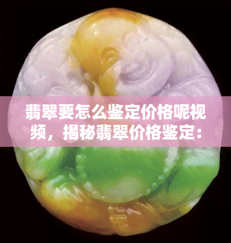 翡翠要怎么鉴定价格呢视频，揭秘翡翠价格鉴定：视频讲解步骤与技巧！