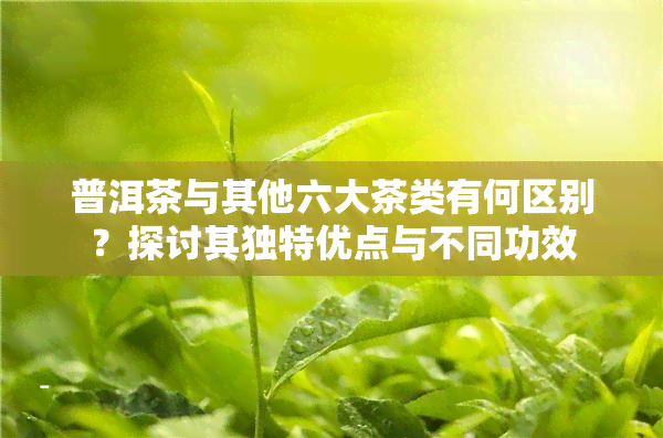 普洱茶与其他六大茶类有何区别？探讨其独特优点与不同功效