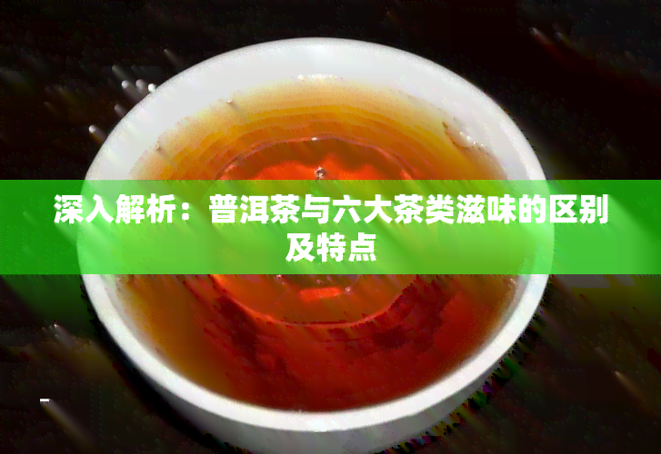 深入解析：普洱茶与六大茶类滋味的区别及特点