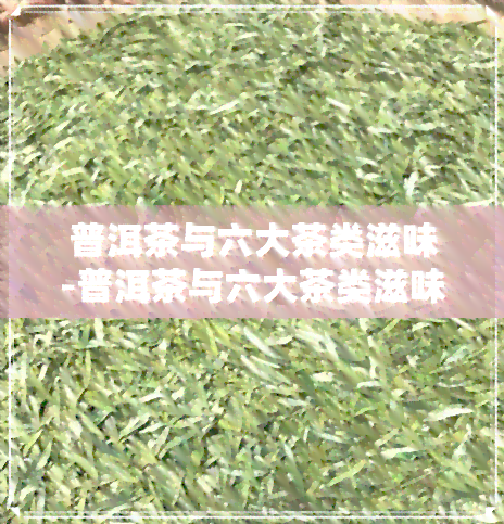 普洱茶与六大茶类滋味-普洱茶与六大茶类滋味区别