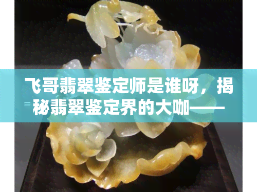 飞哥翡翠鉴定师是谁呀，揭秘翡翠鉴定界的大咖——飞哥翡翠鉴定师身份揭晓！