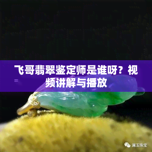 飞哥翡翠鉴定师是谁呀？视频讲解与播放