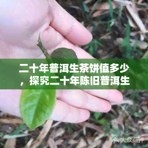 二十年普洱生茶饼值多少，探究二十年陈旧普洱生茶饼的价值