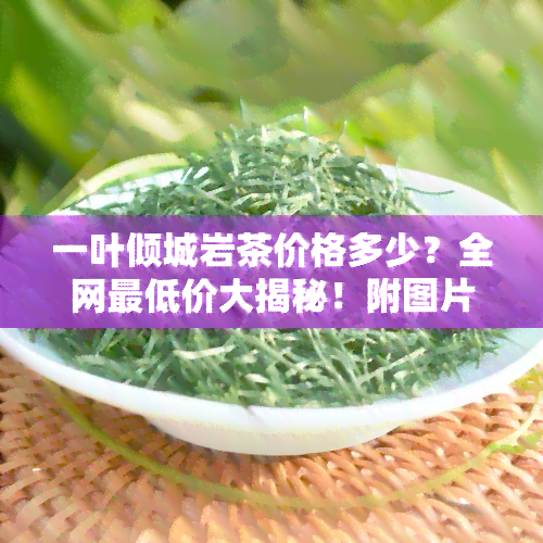 一叶倾城岩茶价格多少？全网更低价大揭秘！附图片与茶叶种类对比