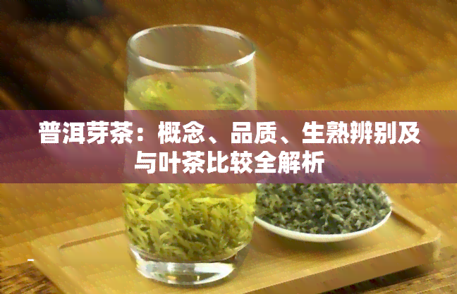 普洱芽茶：概念、品质、生熟辨别及与叶茶比较全解析