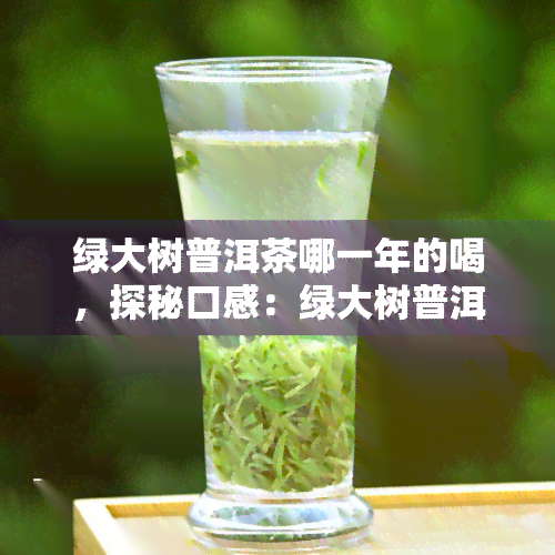 绿大树普洱茶哪一年的喝，探秘口感：绿大树普洱茶的饮用年份