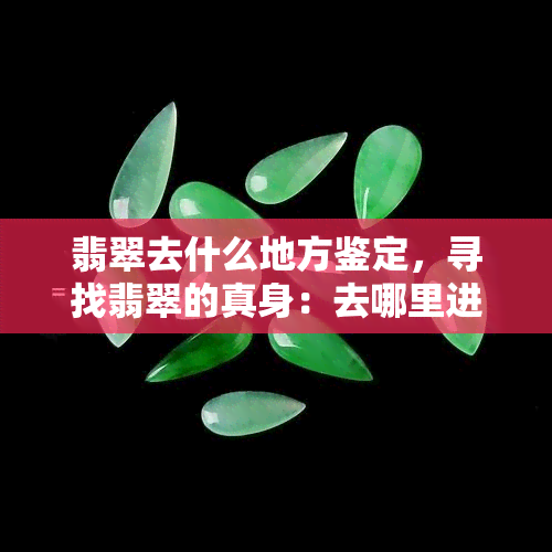 翡翠去什么地方鉴定，寻找翡翠的真身：去哪里进行鉴定？