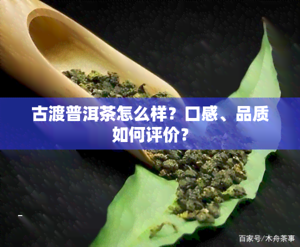 古渡普洱茶怎么样？口感、品质如何评价？