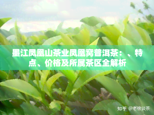 墨江凤凰山茶业凤凰窝普洱茶：、特点、价格及所属茶区全解析