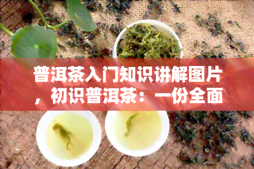 普洱茶入门知识讲解图片，初识普洱茶：一份全面的入门知识讲解与精美图片指南