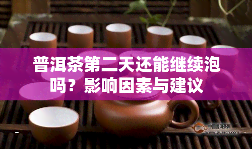 普洱茶第二天还能继续泡吗？影响因素与建议