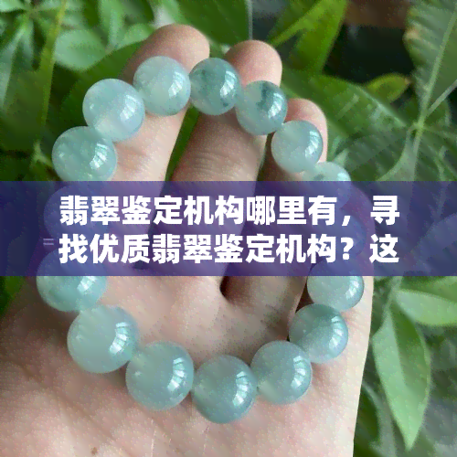 翡翠鉴定机构哪里有，寻找优质翡翠鉴定机构？这里有一份全面的推荐列表！