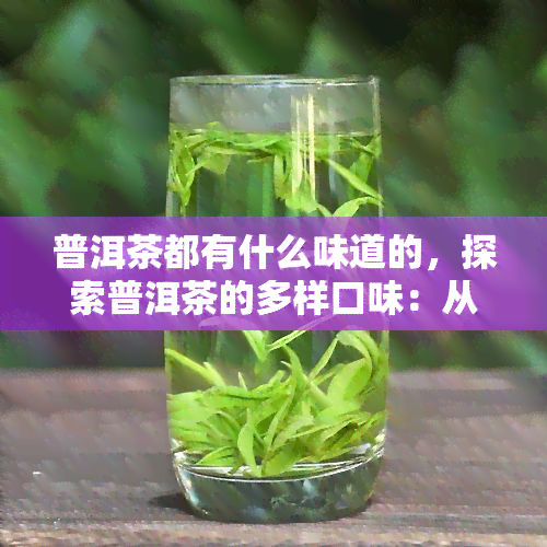 普洱茶都有什么味道的，探索普洱茶的多样口味：从醇厚到果香，你不可错过的味觉之旅