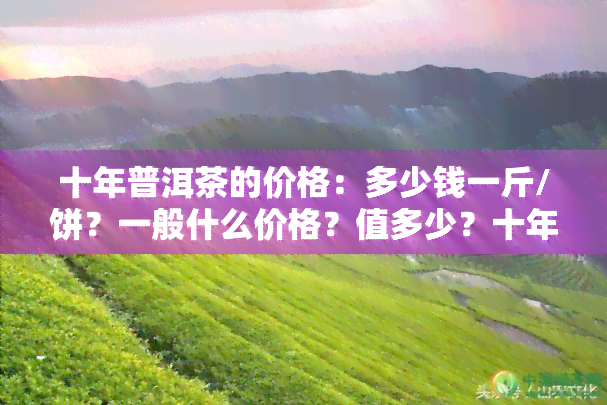 十年普洱茶的价格：多少钱一斤/饼？一般什么价格？值多少？十年以上普洱茶饼价值多少钱？