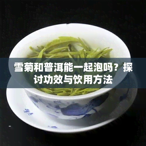 雪菊和普洱能一起泡吗？探讨功效与饮用方法