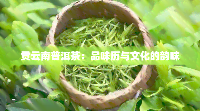 贡云南普洱茶：品味历与文化的韵味