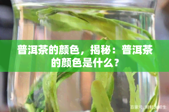 普洱茶的颜色，揭秘：普洱茶的颜色是什么？