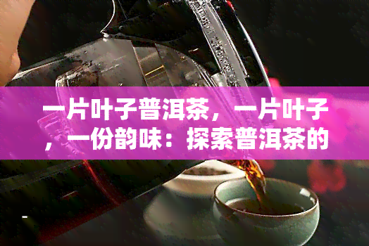 一片叶子普洱茶，一片叶子，一份韵味：探索普洱茶的魅力