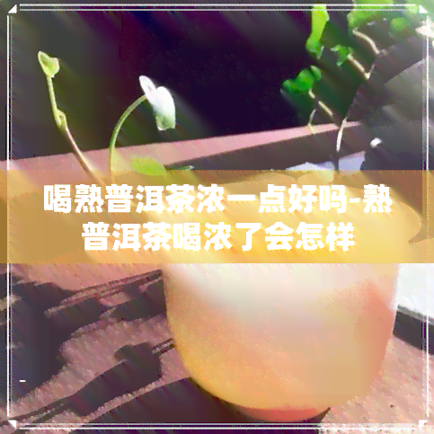 喝熟普洱茶浓一点好吗-熟普洱茶喝浓了会怎样