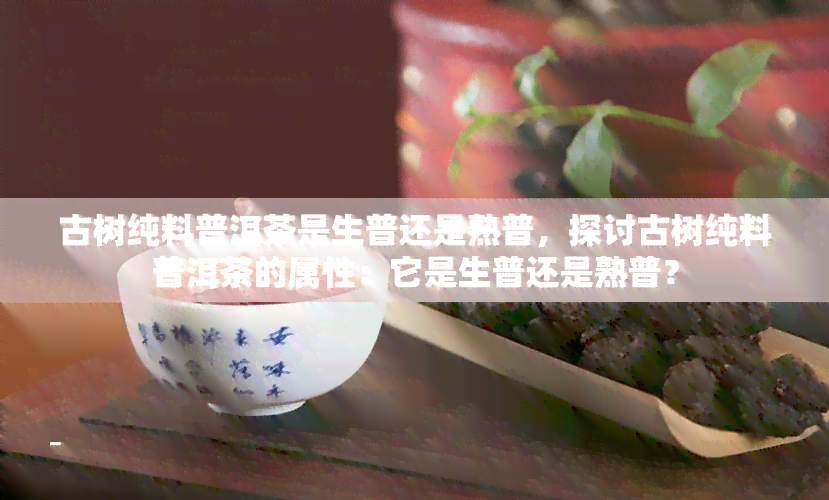 古树纯料普洱茶是生普还是熟普，探讨古树纯料普洱茶的属性：它是生普还是熟普？