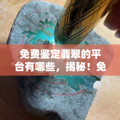 免费鉴定翡翠的平台有哪些，揭秘！免费鉴定翡翠的平台大盘点