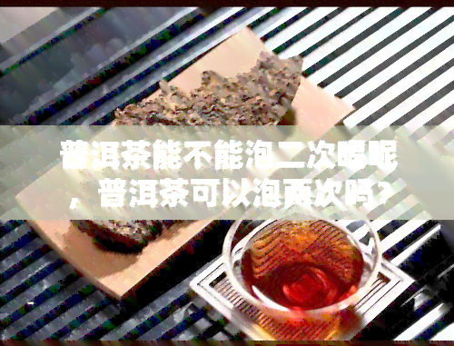 普洱茶能不能泡二次喝呢，普洱茶可以泡两次吗？