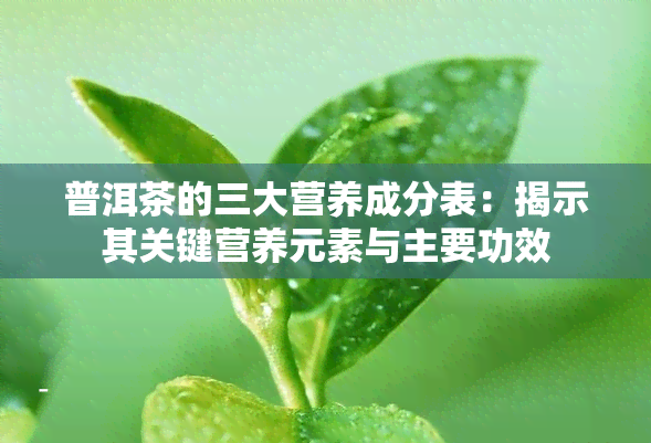 普洱茶的三大营养成分表：揭示其关键营养元素与主要功效