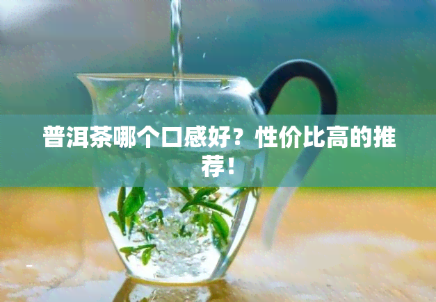 普洱茶哪个口感好？性价比高的推荐！