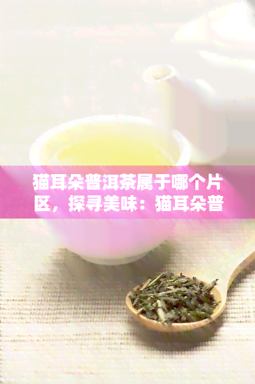 猫耳朵普洱茶属于哪个片区，探寻美味：猫耳朵普洱茶的产区归属