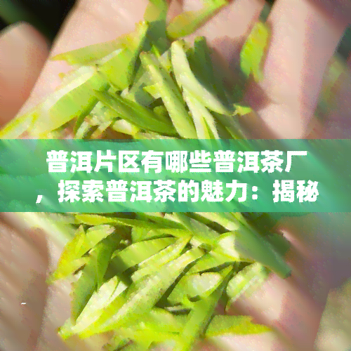 普洱片区有哪些普洱茶厂，探索普洱茶的魅力：揭秘普洱片区的知名茶厂