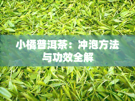 小橘普洱茶：冲泡方法与功效全解