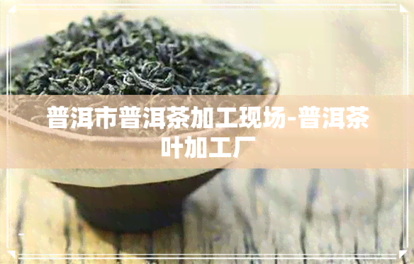 普洱市普洱茶加工现场-普洱茶叶加工厂