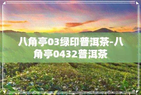 八角亭03绿印普洱茶-八角亭0432普洱茶