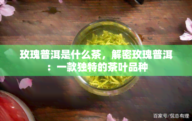 玫瑰普洱是什么茶，解密玫瑰普洱：一款独特的茶叶品种