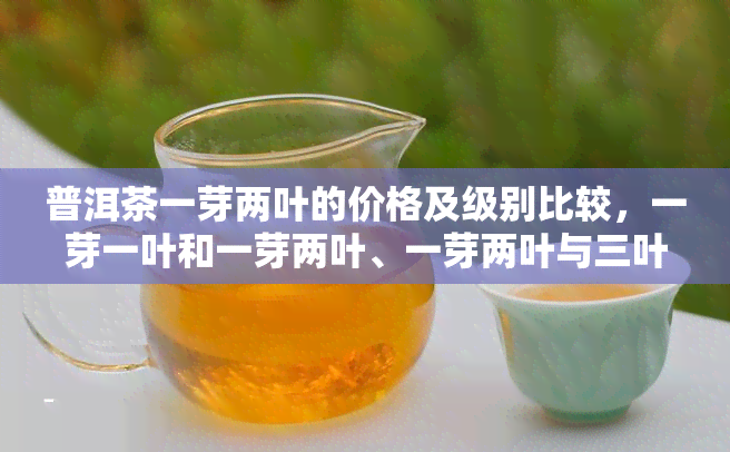 普洱茶一芽两叶的价格及级别比较，一芽一叶和一芽两叶、一芽两叶与三叶哪个更好？