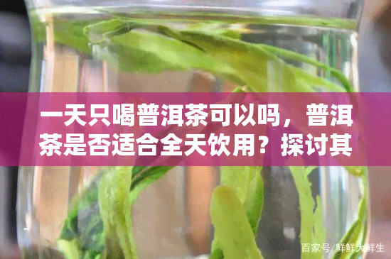 一天只喝普洱茶可以吗，普洱茶是否适合全天饮用？探讨其可能的健影响