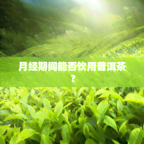 月经期间能否饮用普洱茶？