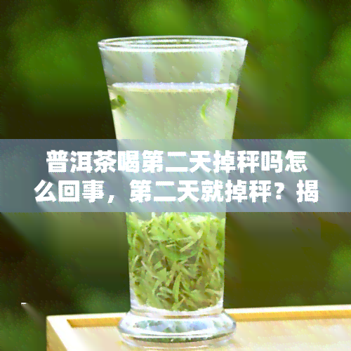 普洱茶喝第二天掉秤吗怎么回事，第二天就掉秤？揭开普洱茶神奇的减肥效果