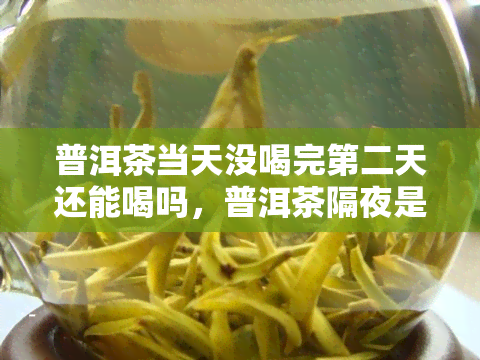 普洱茶当天没喝完第二天还能喝吗，普洱茶隔夜是否能饮用？探讨当天未喝完的茶叶第二天下饮的可能性