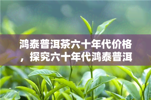 鸿泰普洱茶六十年代价格，探究六十年代鸿泰普洱茶的价格及其历文化价值