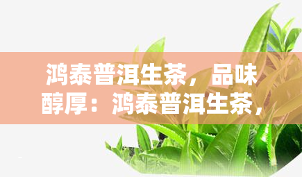 鸿泰普洱生茶，品味醇厚：鸿泰普洱生茶，带你领略云南茶文化的魅力